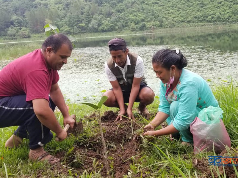 कमलदह सफाईको पाँचौ हप्ता